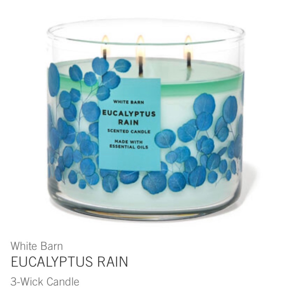 Eucalyptus Rain 3 Wick Candle
